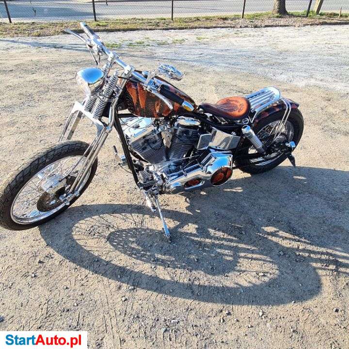 Harley-Davidson Custom – Jordanów Śląski – Dolnośląskie