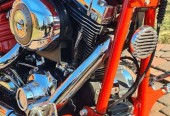 Harley-Davidson Softail – Kokoszkowy – Pomorskie