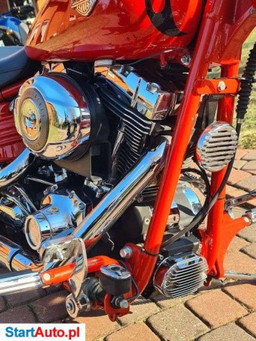 Harley-Davidson Softail – Kokoszkowy – Pomorskie