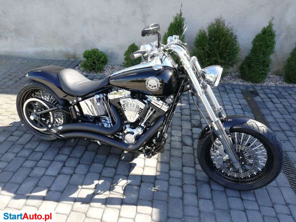 Harley-Davidson Softail – Września – Wielkopolskie
