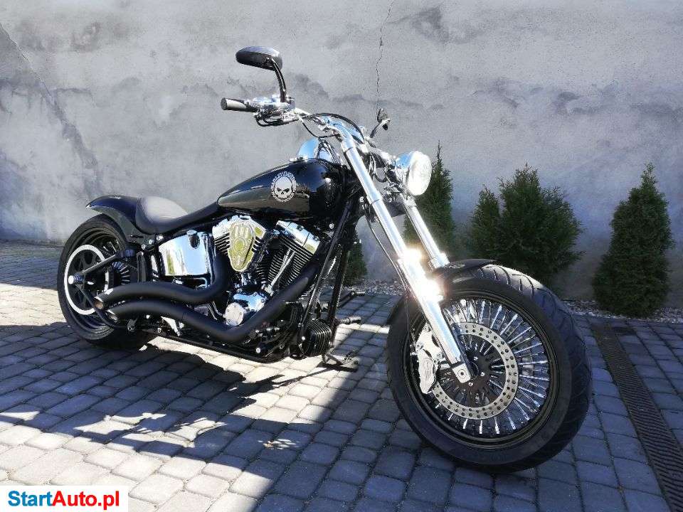 Harley-Davidson Softail – Września – Wielkopolskie
