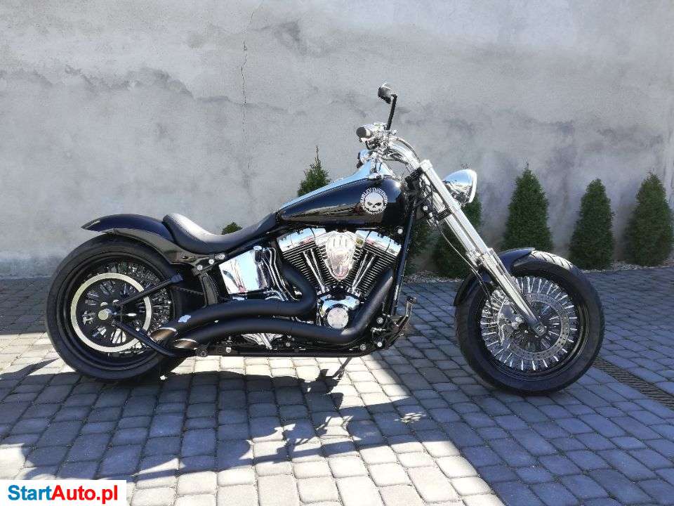 Harley-Davidson Softail – Września – Wielkopolskie