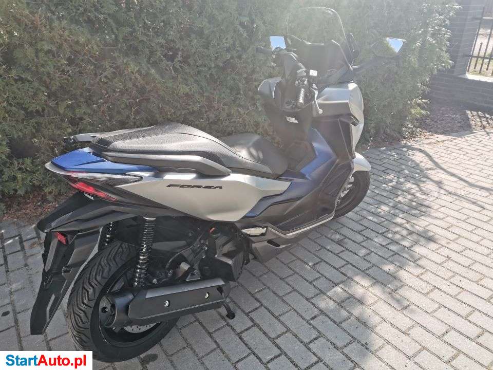 Honda NSS – Gniezno – Wielkopolskie