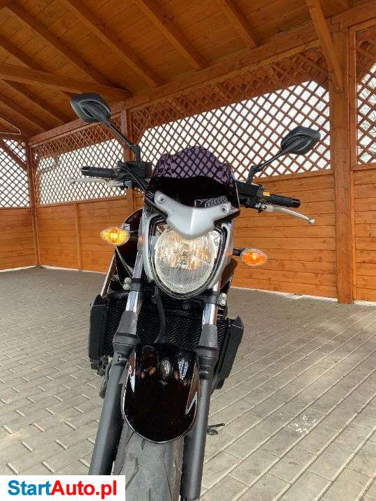 Suzuki GSF – Bandit – Prudnik – Opolskie