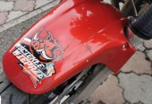 Honda Hornet – Sokołów Małopolski – Podkarpackie