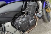 Honda Hornet – Ostrołęka – Mazowieckie