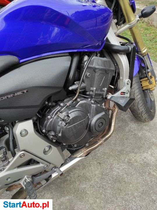 Honda Hornet – Ostrołęka – Mazowieckie