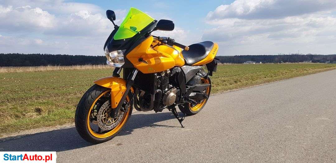 Kawasaki Z – Sędziejowice – Łódzkie