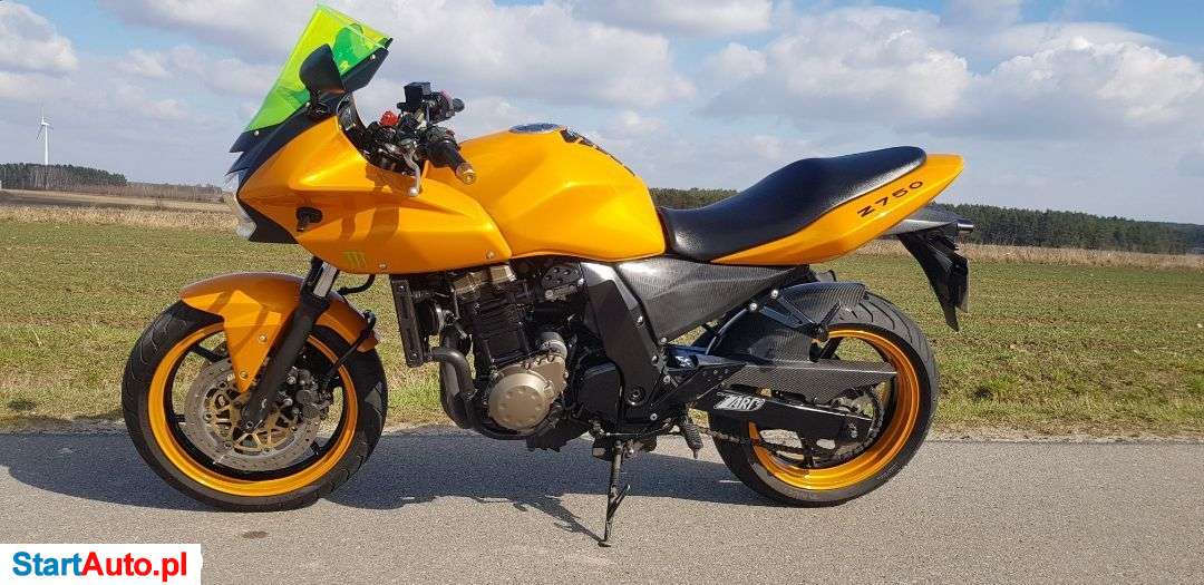 Kawasaki Z – Sędziejowice – Łódzkie