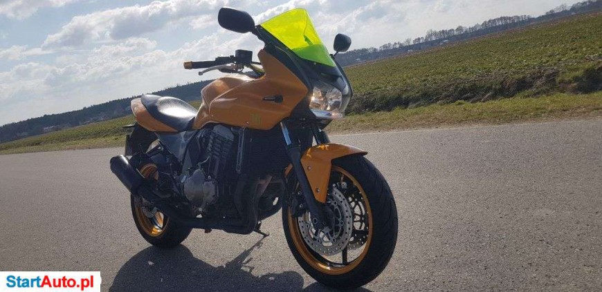 Kawasaki Z – Sędziejowice – Łódzkie
