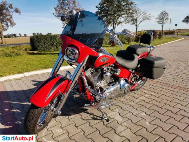 Harley-Davidson Softail – Żydowo – Wielkopolskie
