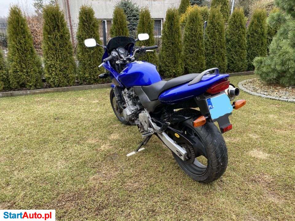 Honda Hornet – Kartuzy – Pomorskie