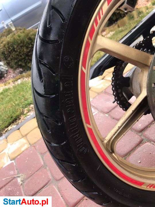 Honda CBR – Nieprowice – Świętokrzyskie