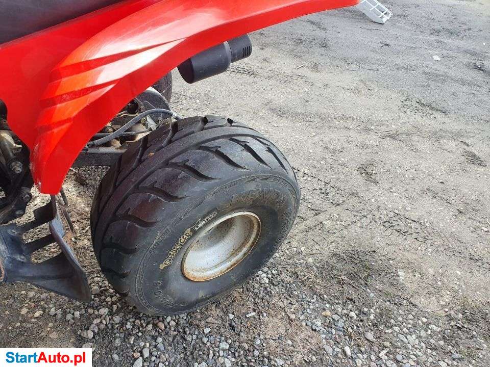 Adly CAT – Inowrocław – Kujawsko-pomorskie