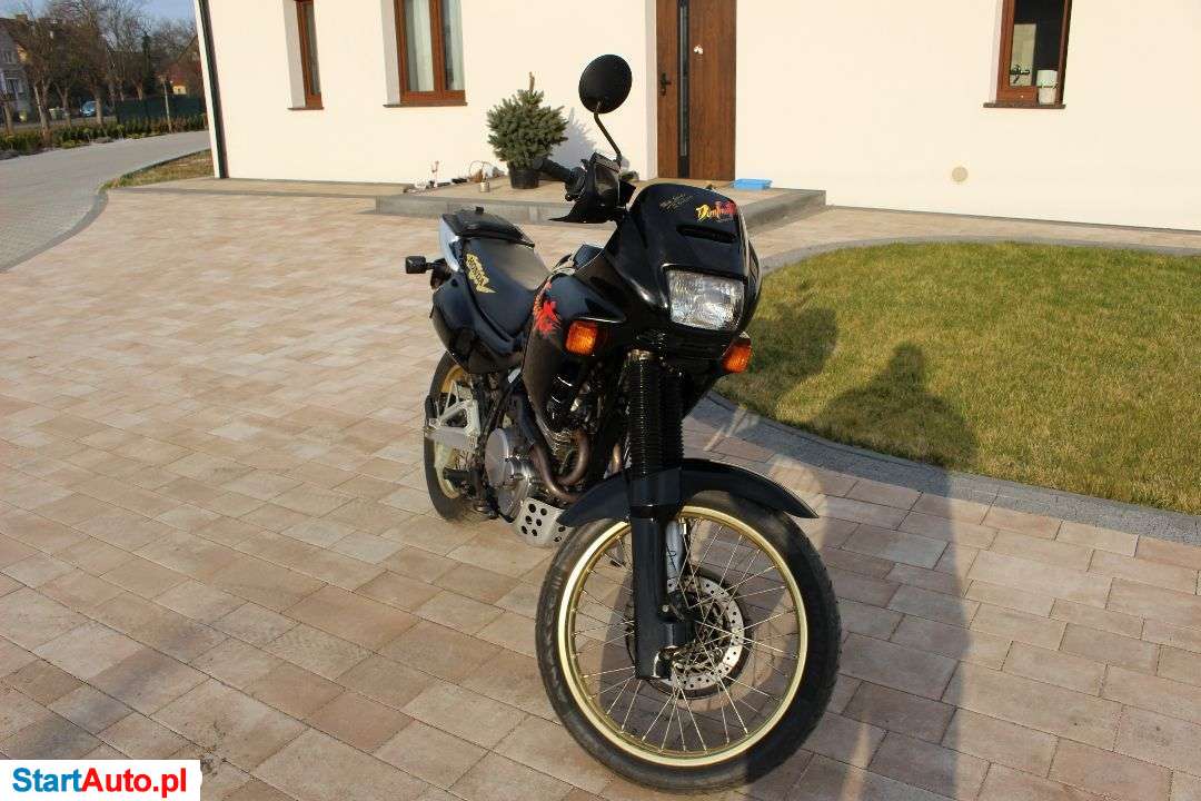 Honda NX – Legnica – Dolnośląskie