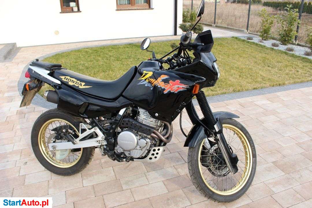 Honda NX – Legnica – Dolnośląskie