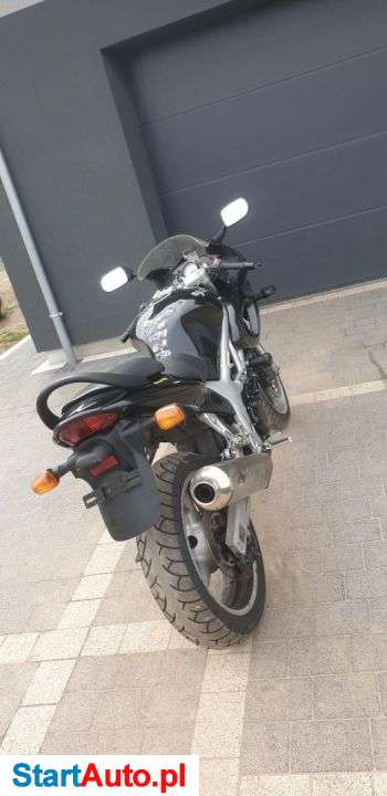 Suzuki SV – Zielona Góra – Lubuskie