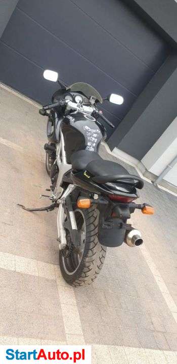 Suzuki SV – Zielona Góra – Lubuskie