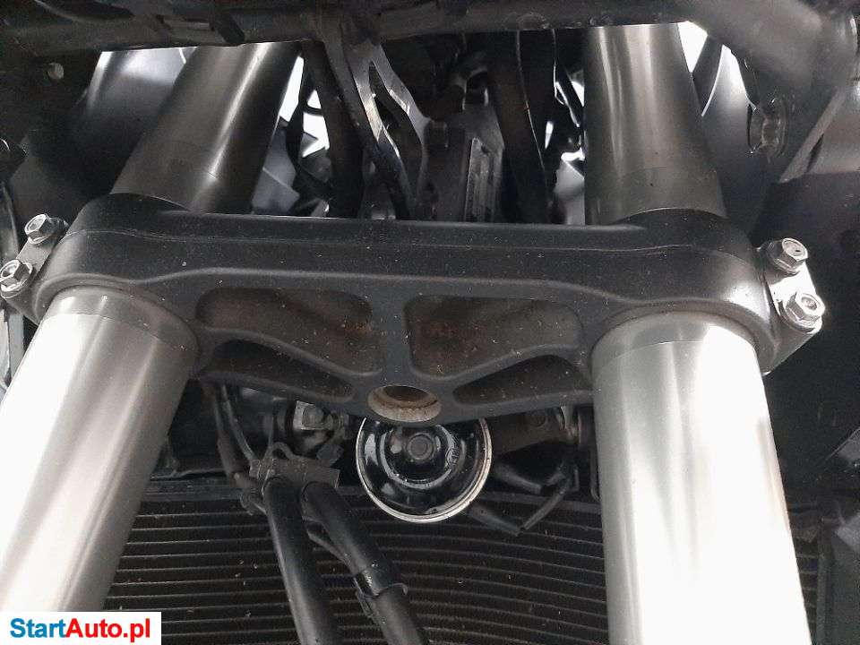 Honda VFR – Mniewo – Wielkopolskie