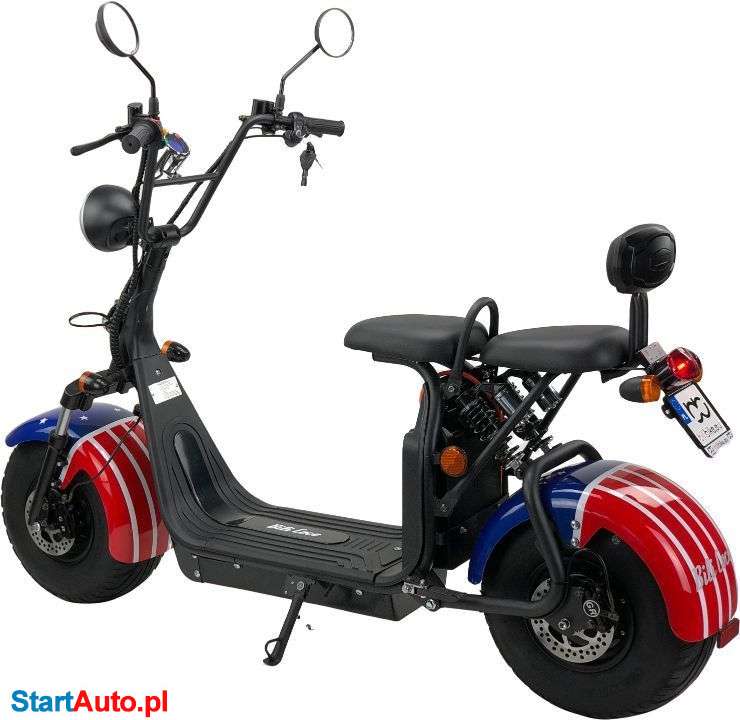 Bili Coco Coco I – Gorzów Wielkopolski – Lubuskie