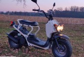Honda Zoomer – Milicz – Dolnośląskie