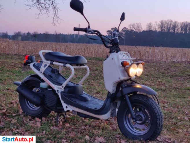 Honda Zoomer – Milicz – Dolnośląskie