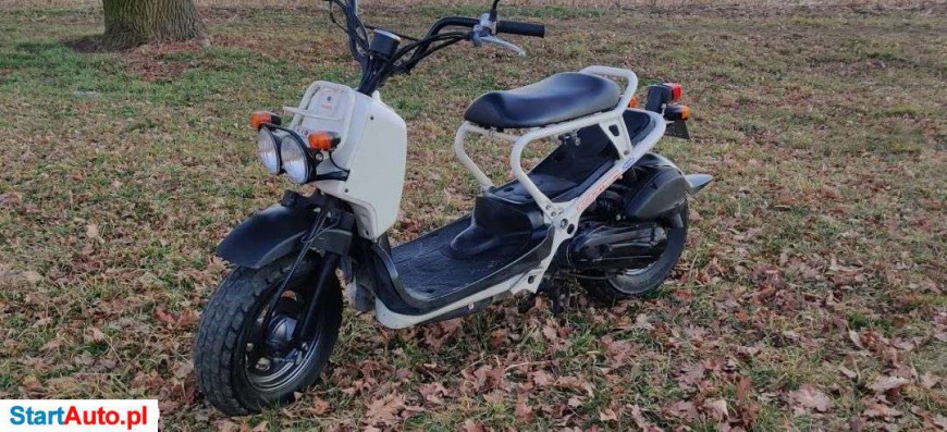 Honda Zoomer – Milicz – Dolnośląskie