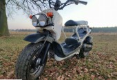 Honda Zoomer – Milicz – Dolnośląskie