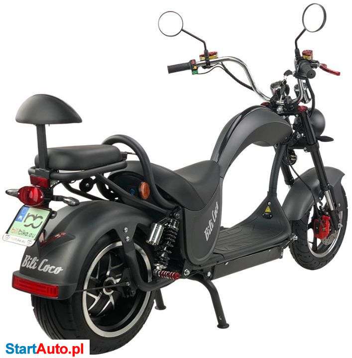 Bili Coco Cobra – Gorzów Wielkopolski – Lubuskie