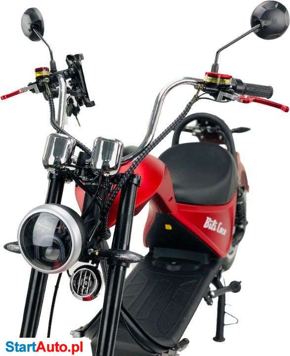 Bili Coco Cobra – Gorzów Wielkopolski – Lubuskie