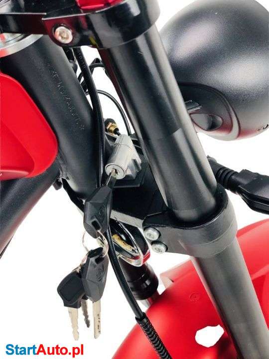 Bili Coco Cobra – Gorzów Wielkopolski – Lubuskie