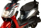 Bili Bike Leo – Gorzów Wielkopolski – Lubuskie