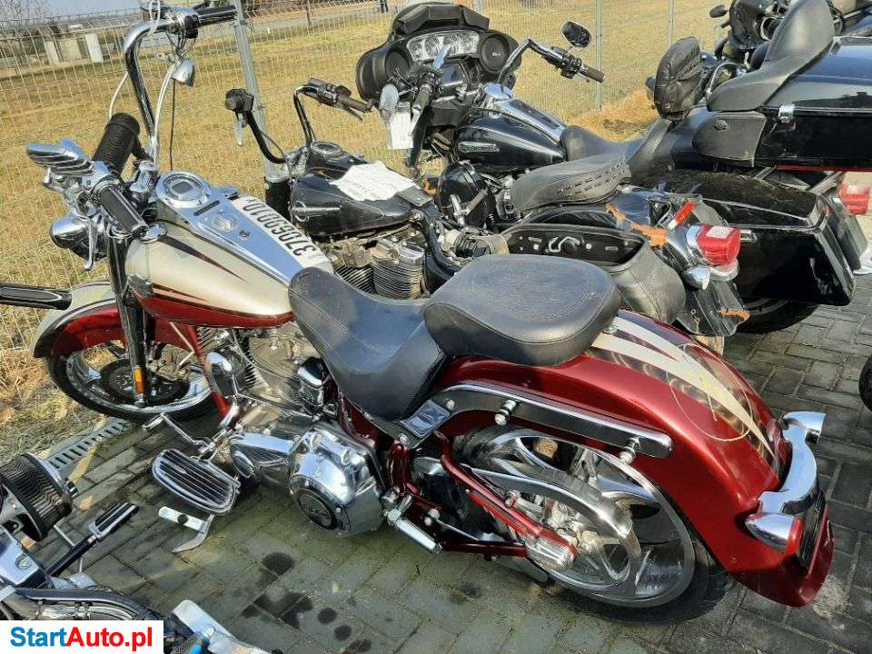 Harley-Davidson Softail – Ryki – Lubelskie