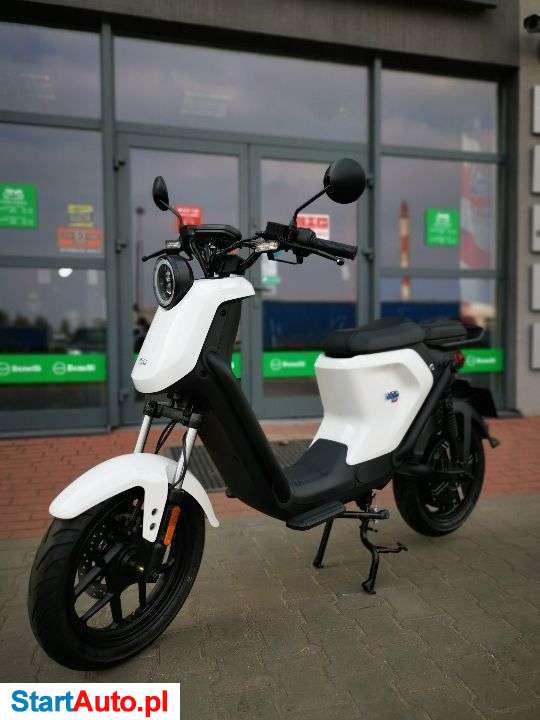 Niu U – Toruń – Kujawsko-pomorskie