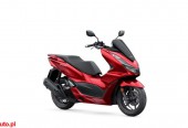 Honda PCX – Poznań – Wielkopolskie