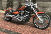 Yamaha Raider – Panki – Śląskie