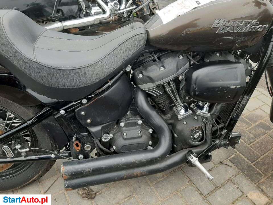 Harley-Davidson Softail – Ryki – Lubelskie