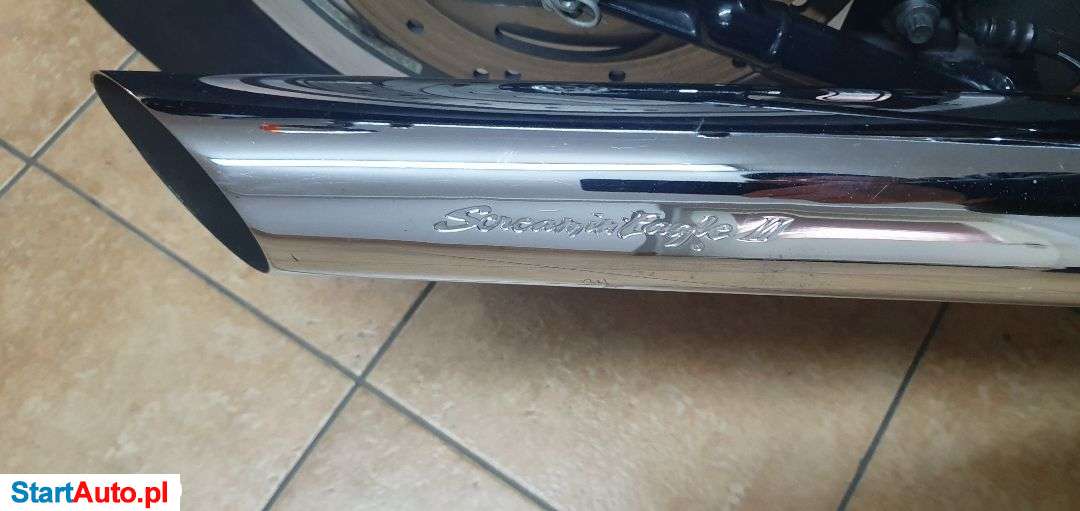 Harley-Davidson Springer – Bydgoszcz – Kujawsko-pomorskie