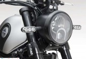 Benelli Leoncino – Zielona Góra – Lubuskie
