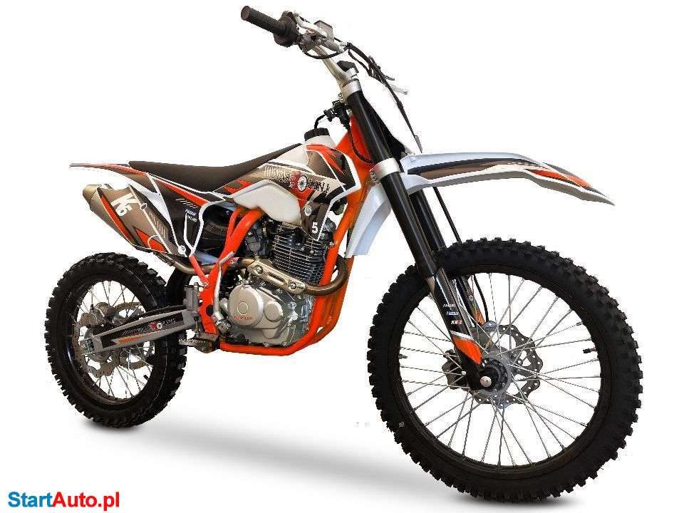 Diabolini – Bielsko-Biała – Śląskie