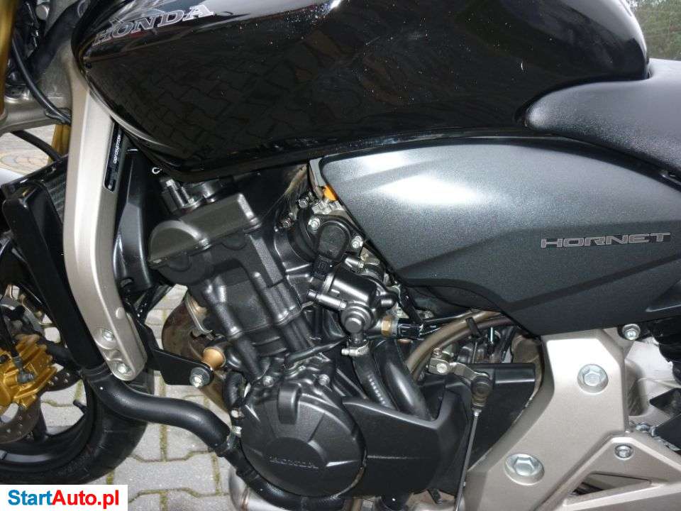 Honda Hornet – Ostrów Mazowiecka – Mazowieckie