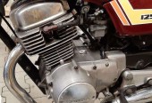 Honda CB – Pajęczno – Łódzkie
