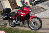 Honda Transalp – Wilczopole-Kolonia – Lubelskie