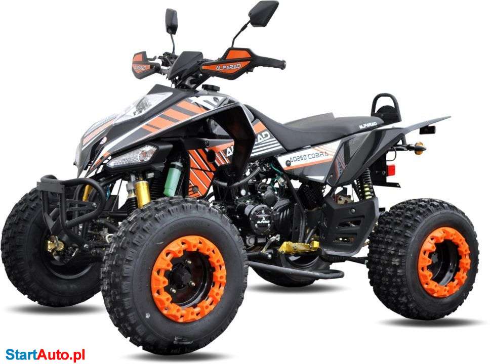 Bashan BS250s-24 – Rojewo – Kujawsko-pomorskie