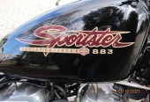 Harley-Davidson Sportster – Orle – Pomorskie