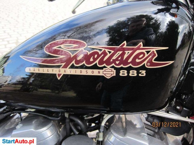 Harley-Davidson Sportster – Orle – Pomorskie