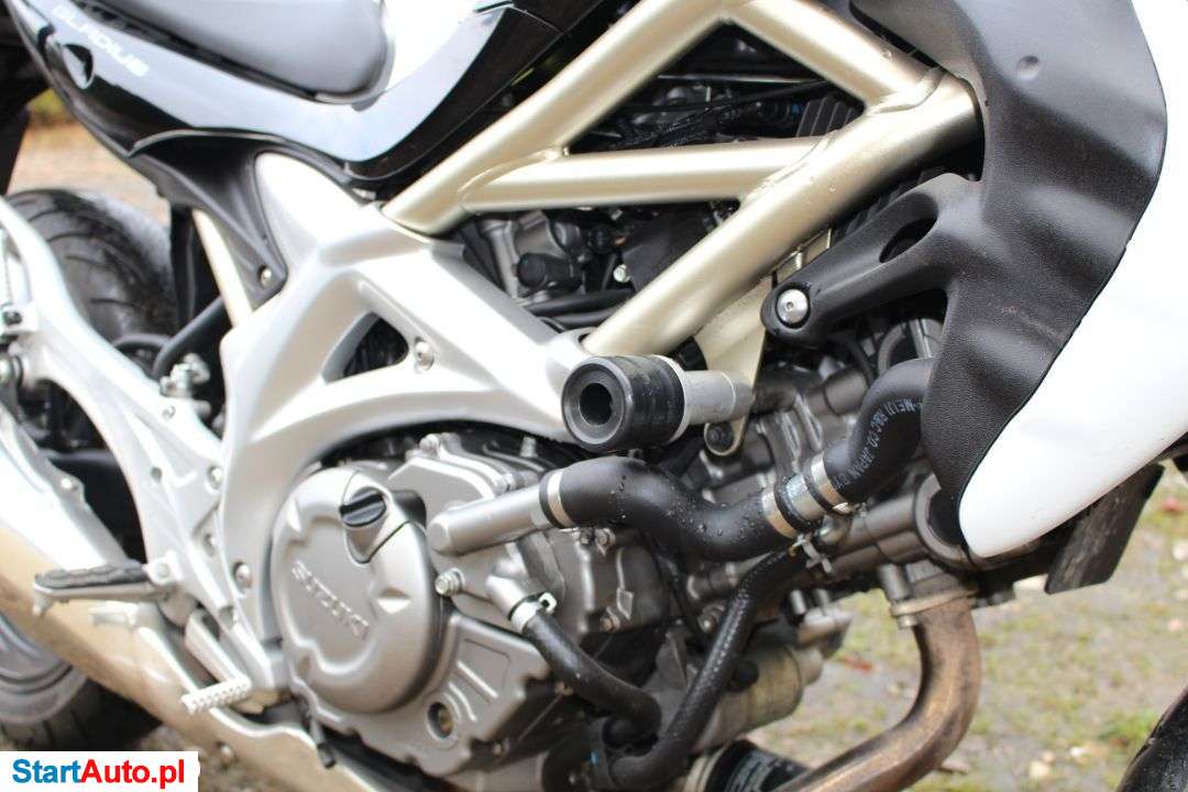 Suzuki Gladius – Siedlce – Mazowieckie