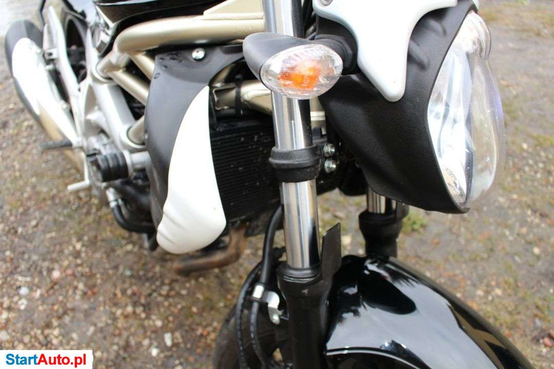 Suzuki Gladius – Siedlce – Mazowieckie