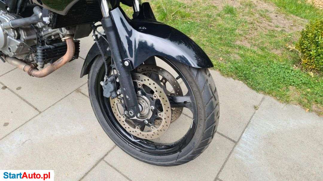 Suzuki DL – Krzyż Wielkopolski – Wielkopolskie