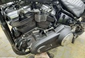 Harley-Davidson Softail – Ryki – Lubelskie